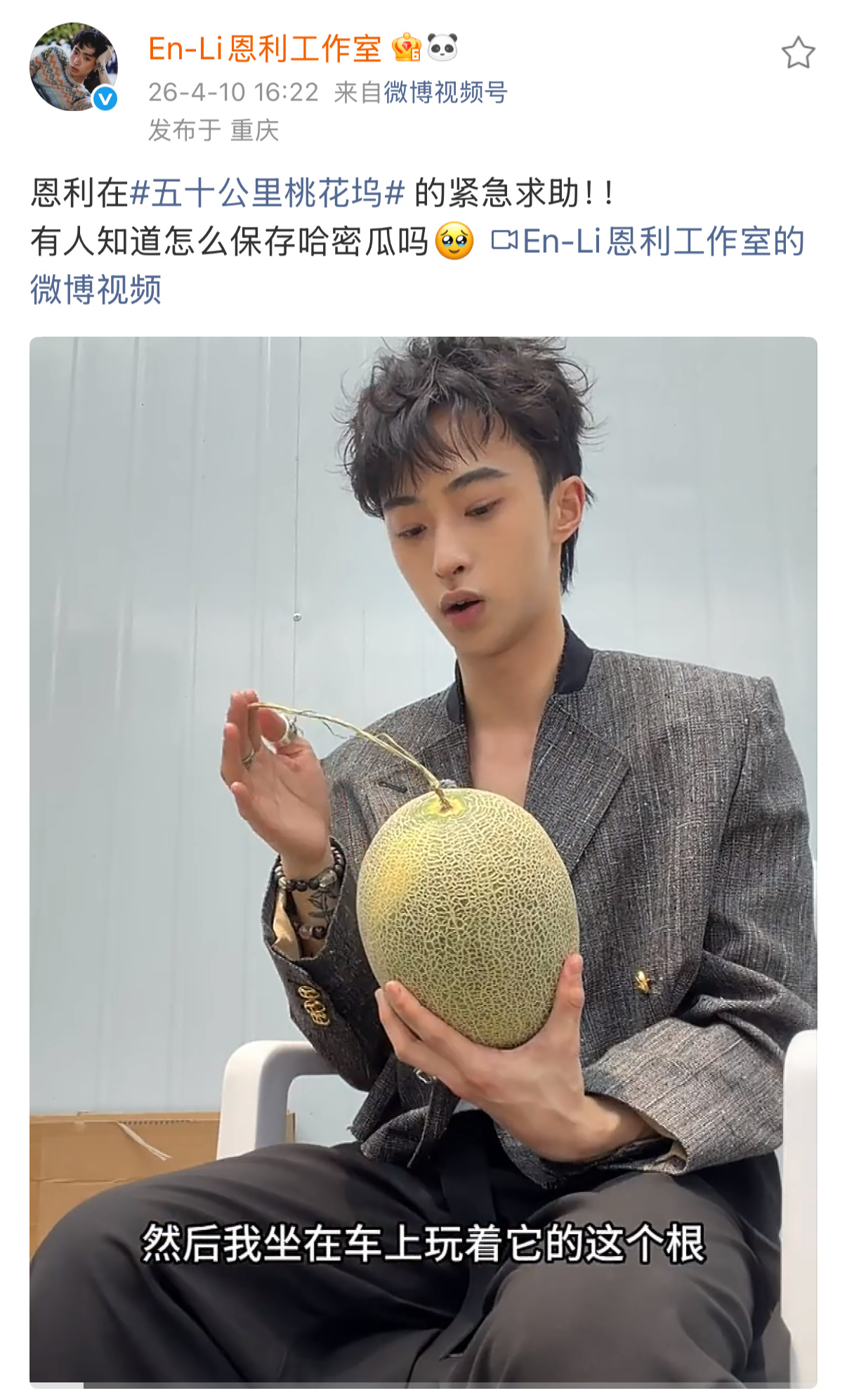 恩利在桃花坞紧急求助 恩利在桃花坞认哈密瓜当孩子，还紧急求助保存方法，认真又搞笑