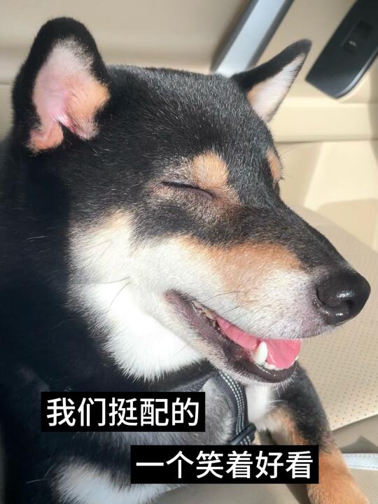 天作之合😌