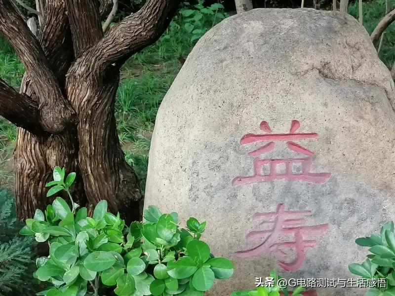 打脸的认知
聊聊“延年益寿”：
寿命长短由遗传基因决定，其他方法难以改变，何来延