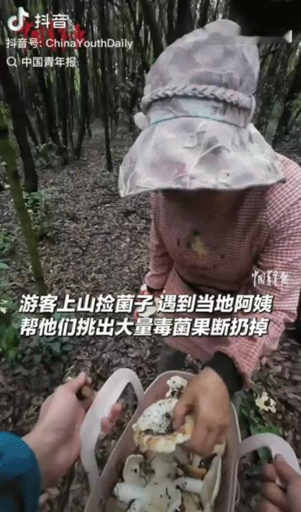 “笑不活了！”云南，两名游客上山捡菌子，偶遇一位当地阿姨，就让阿姨帮忙挑毒菌，不