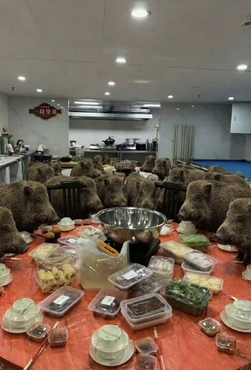 栩你渝生不知道 米米的真心很曼妙 认准镭镭媳妇张菁栩你渝生