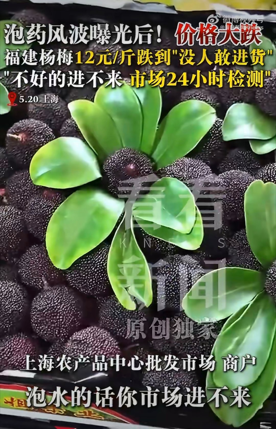 杨梅价格暴跌典型的一颗老鼠屎坏了一锅汤其实现在的杨梅出了问题之后，层层质检反而比