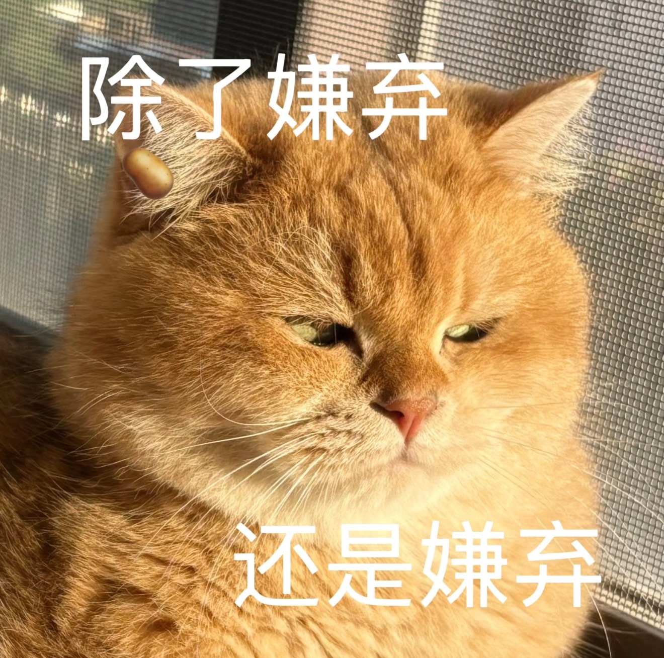 白宇前女友回应自曝恋情也是一个戏很多的前任了…挺无聊的！没懂这女的啥意思，白宇和