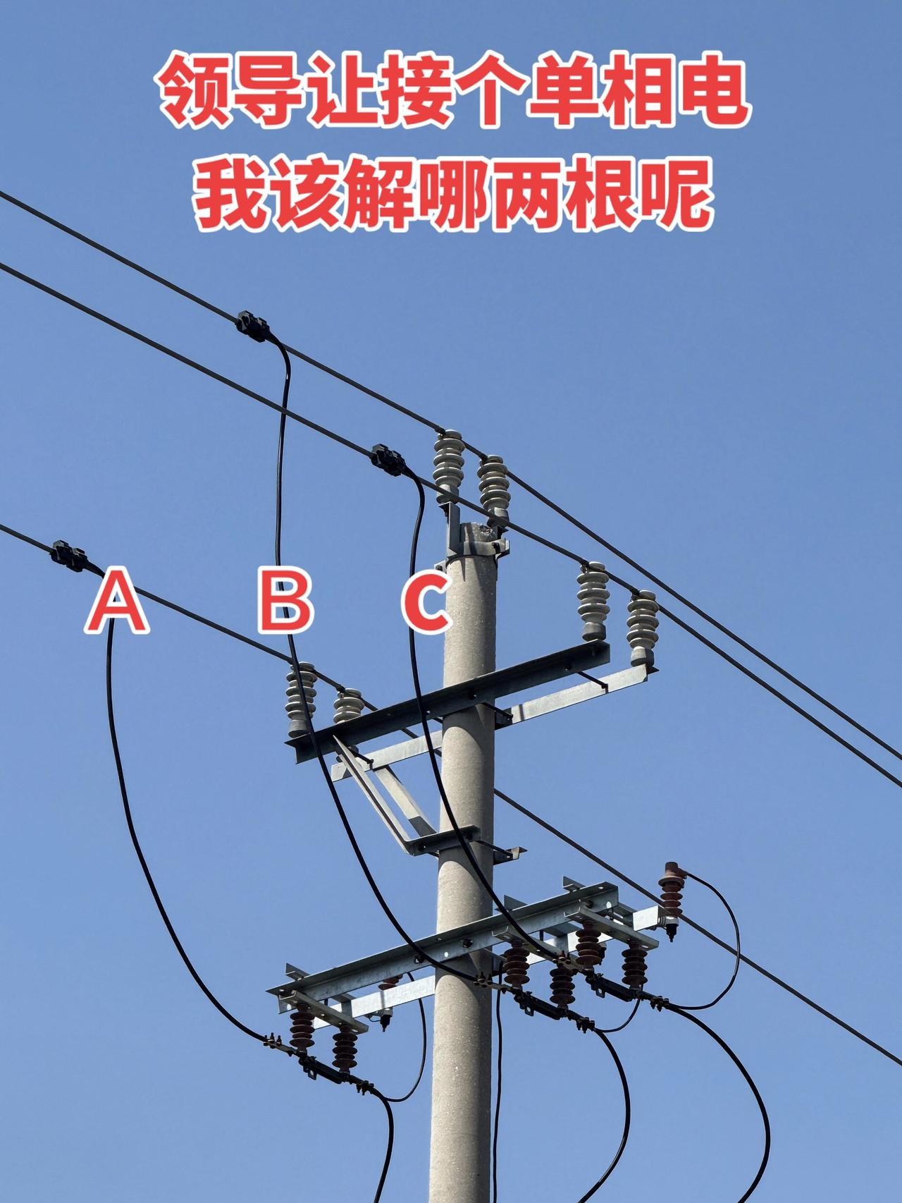 领导让接个单相电，我该解哪两根呢？