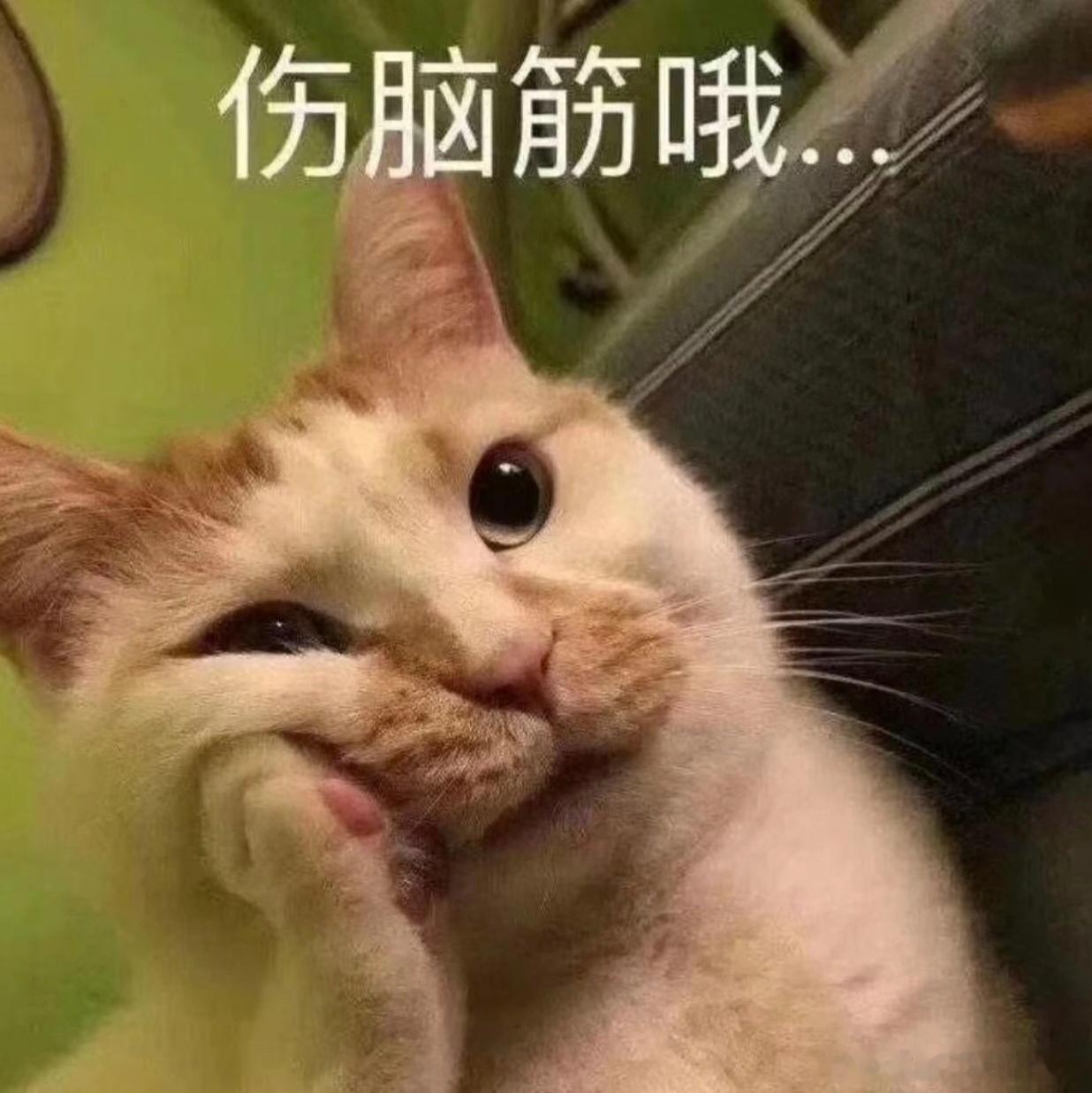 以后快递地址只写到小区现在不都是放在驿站里吗，需要那么详细做什么 