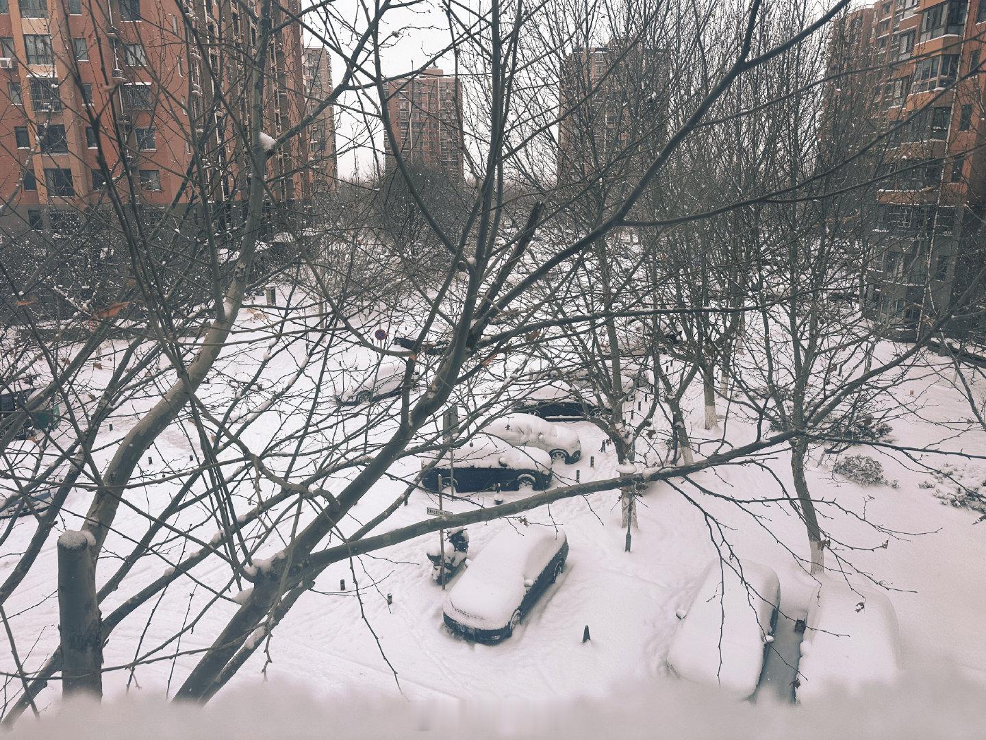 北京男篮vs宁波男篮 这天去踩场，真爱啊