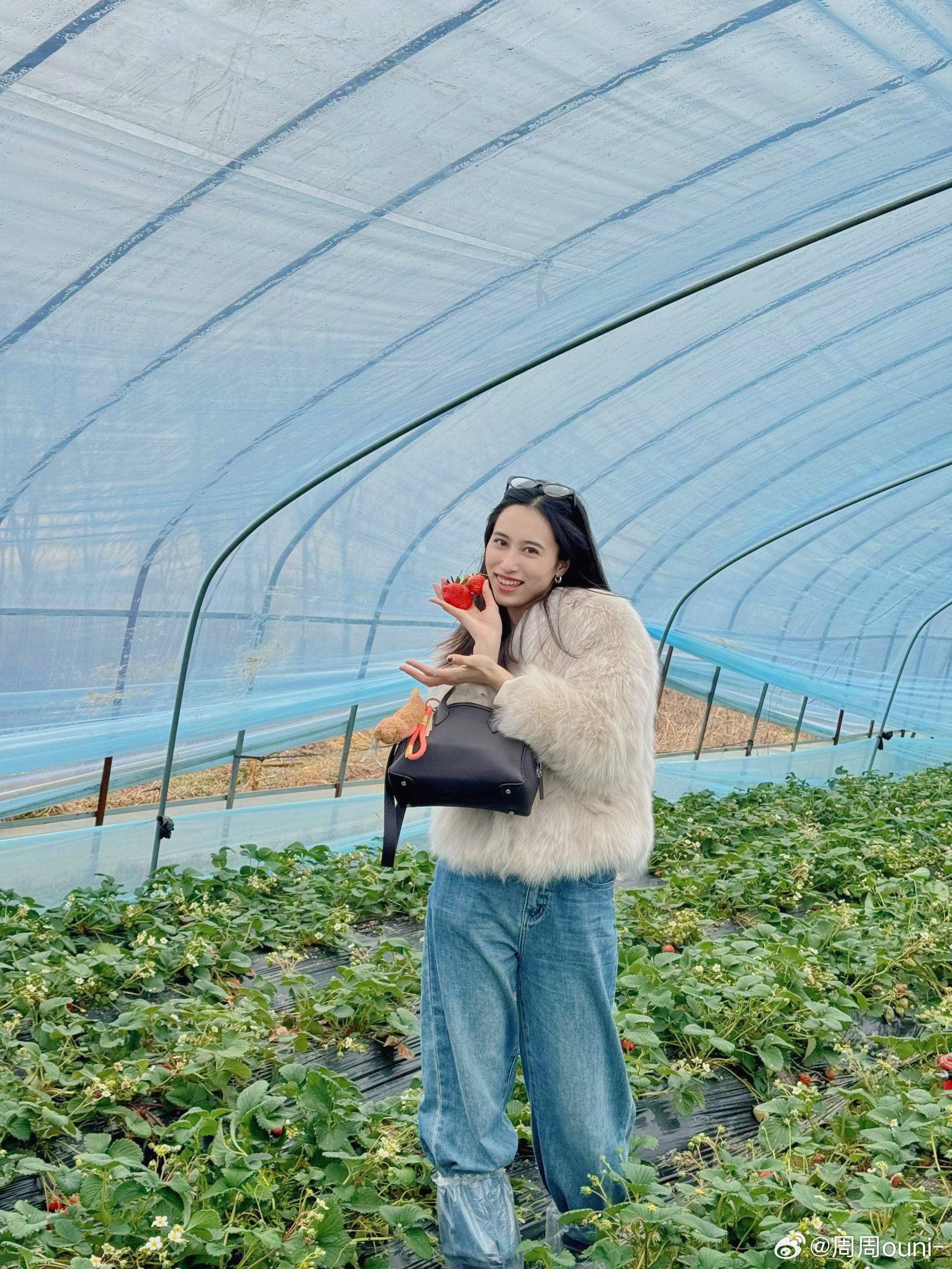 🍓早春限定·亲子采草莓记🍓今天带宝贝们来了一场“草莓大作战”，一进大棚就被满