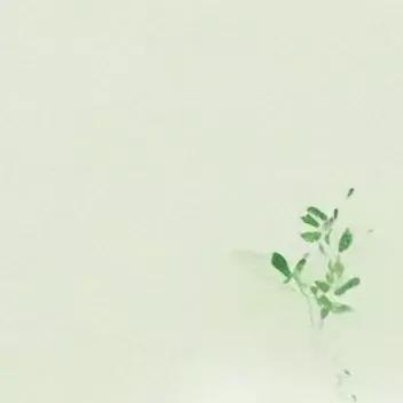 日光斜照集灵台，红树花迎晓露开。 昨夜上皇新授箓，太真含笑入帘来。 —— 唐代·