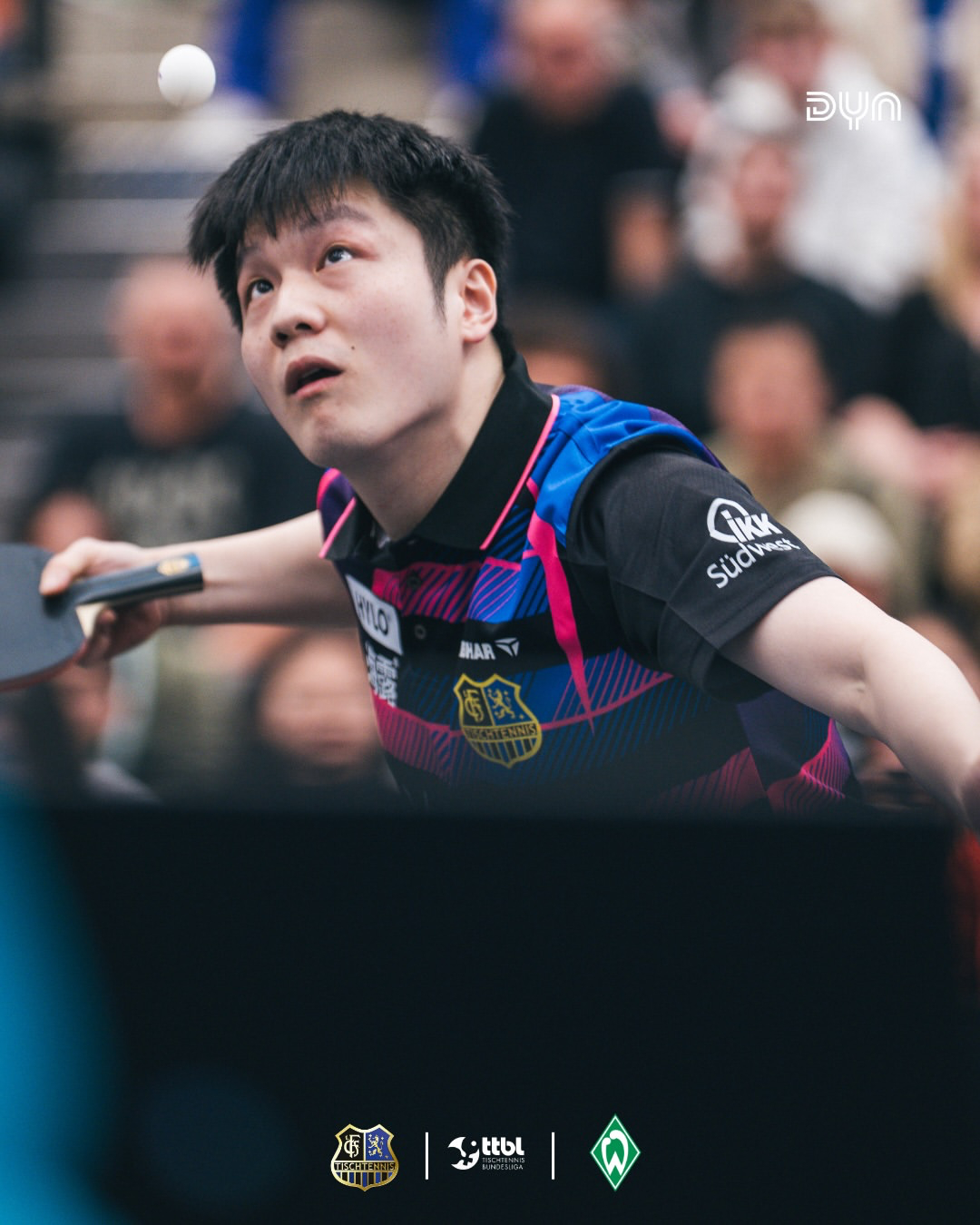 樊振东🏓2025-2026德甲联赛【20260415】【图片】Cr. Inst