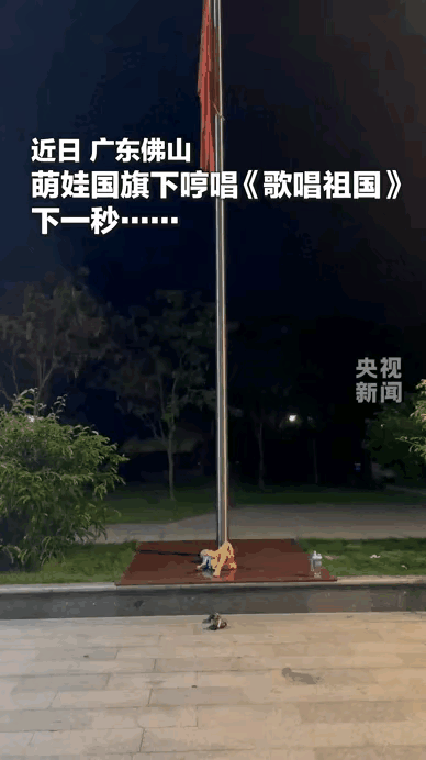 看到这段视频内心满是触动。佛山夜晚风平浪静，树叶都纹丝不动，调皮的孩子赖在旗杆下