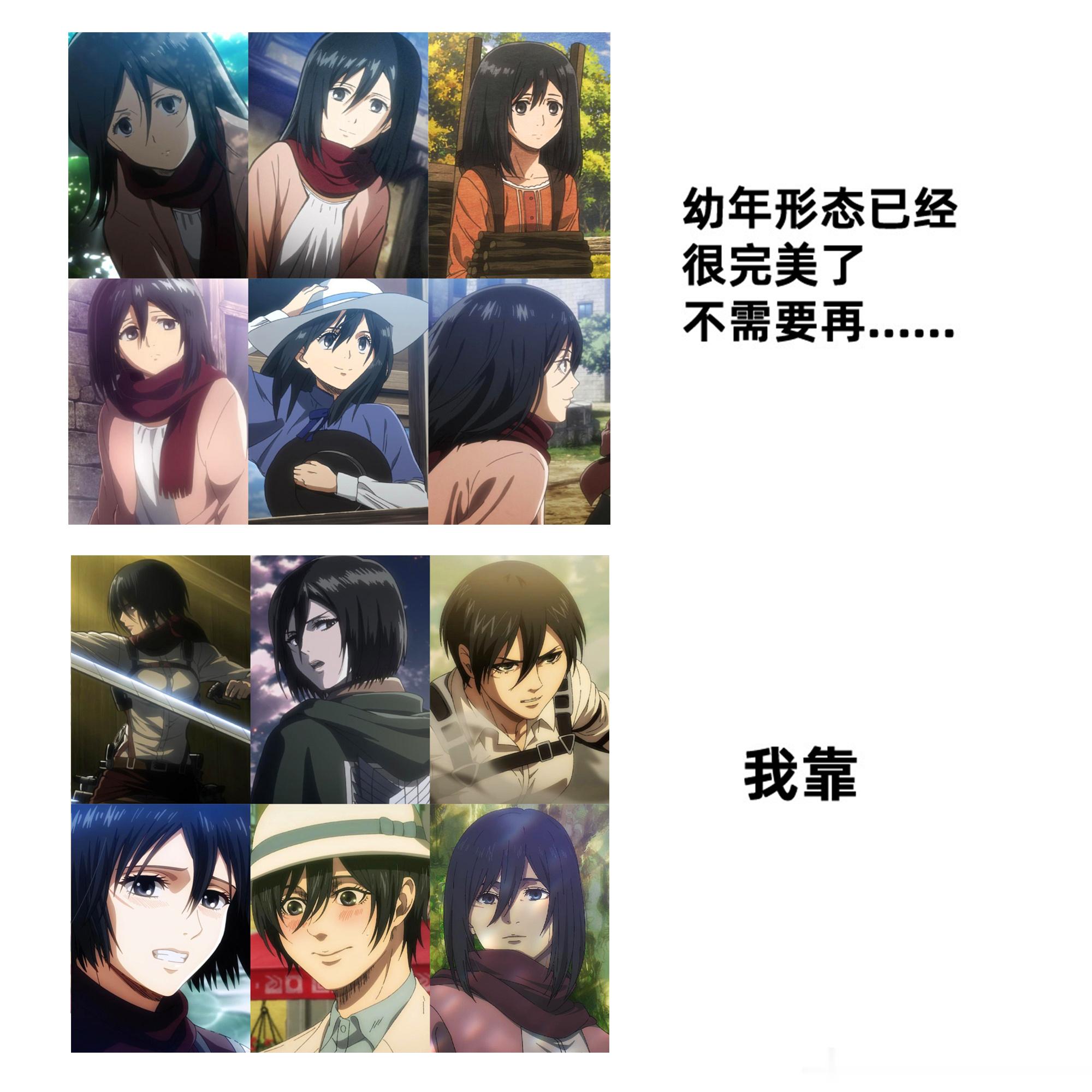 三笠阿克曼  幼年形态已经很完美了 不过……三笠