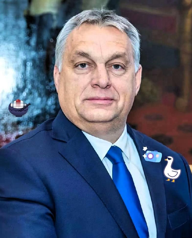 炸裂！
匈牙利硬刚欧盟！起诉禁俄天然气禁令，74%能源依赖背后是生存之战🔥
 