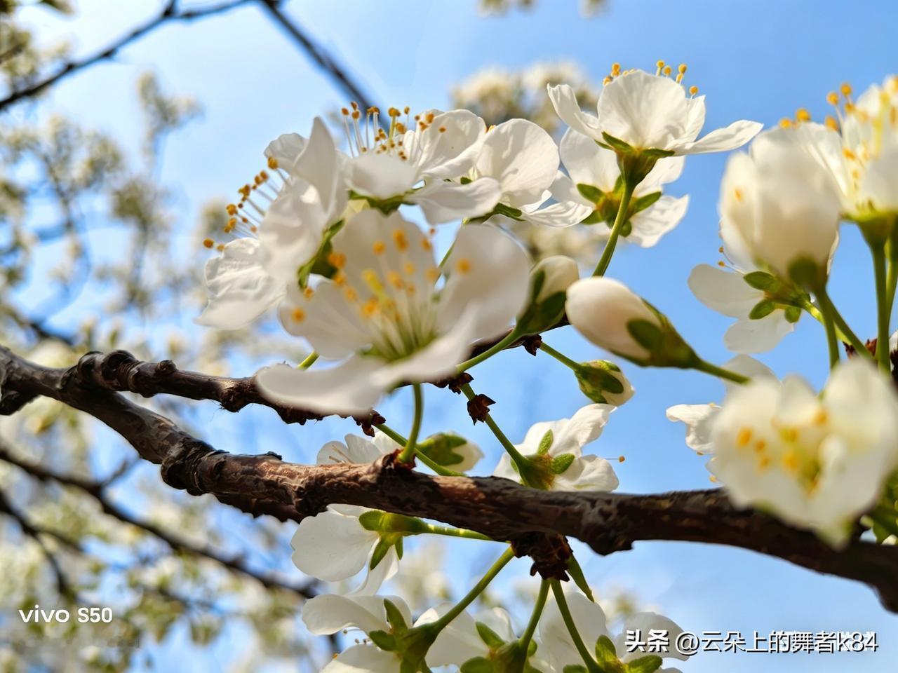 上联是：人不可貌相，怎么对下联下联:海水不可斗量