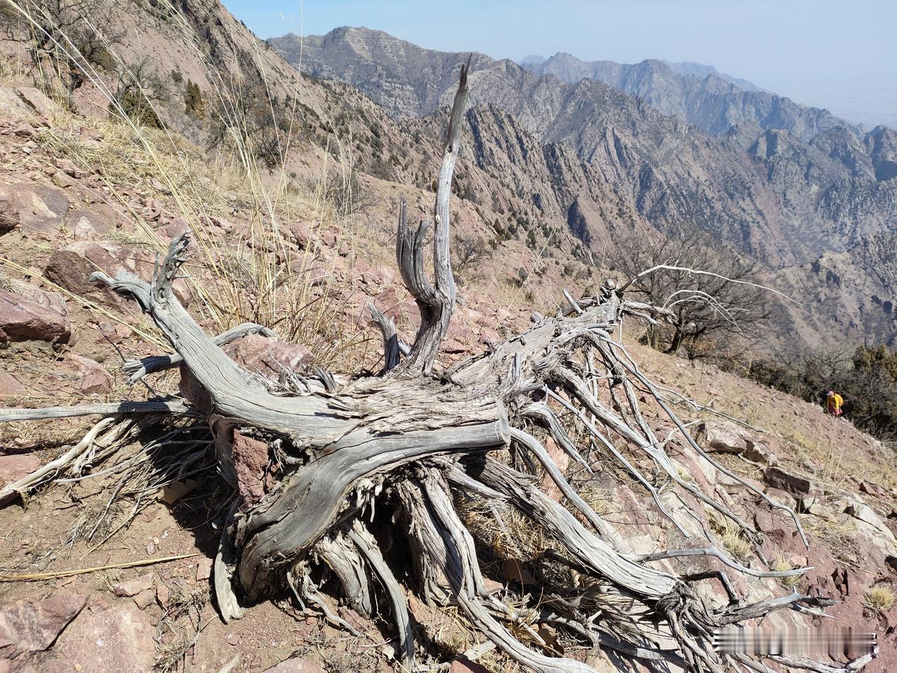 【三皇五帝】三皇，一说天皇、地皇、人皇（泰皇）；一说燧人氏、有巢氏、神农氏。无论