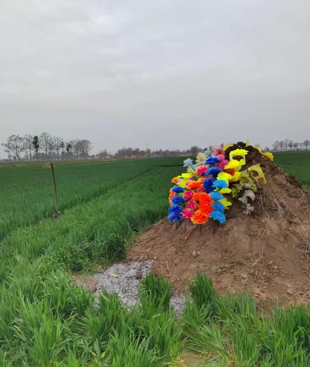 清明我们这边的习俗是往坟上添土，这是儿子的特权，闺女是不能动的。
可今年我弟弟手