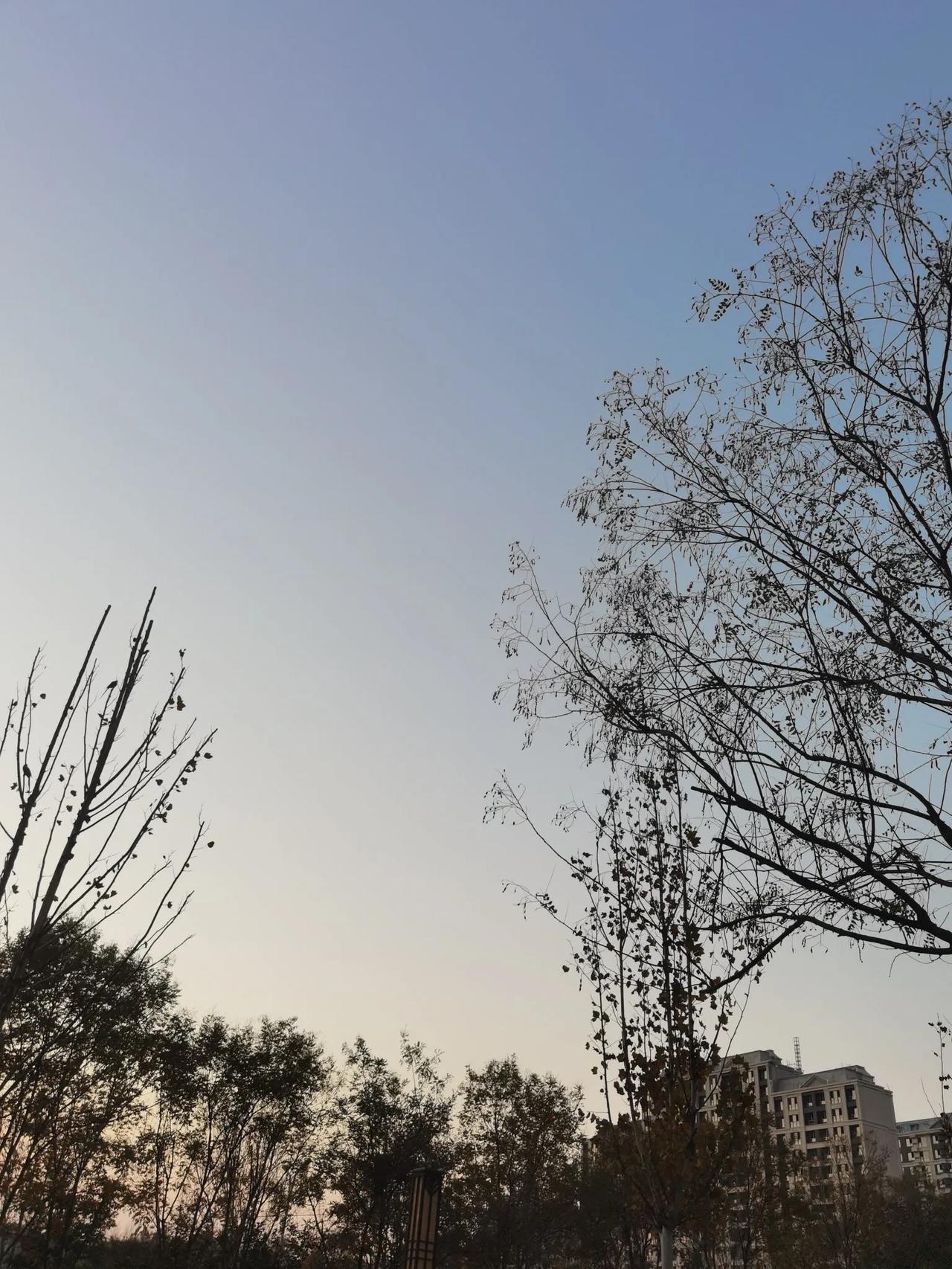 打工仔的生活记录就像一道浮萍，失去了动力和方向，随波逐流，也行将致远，走向何方，