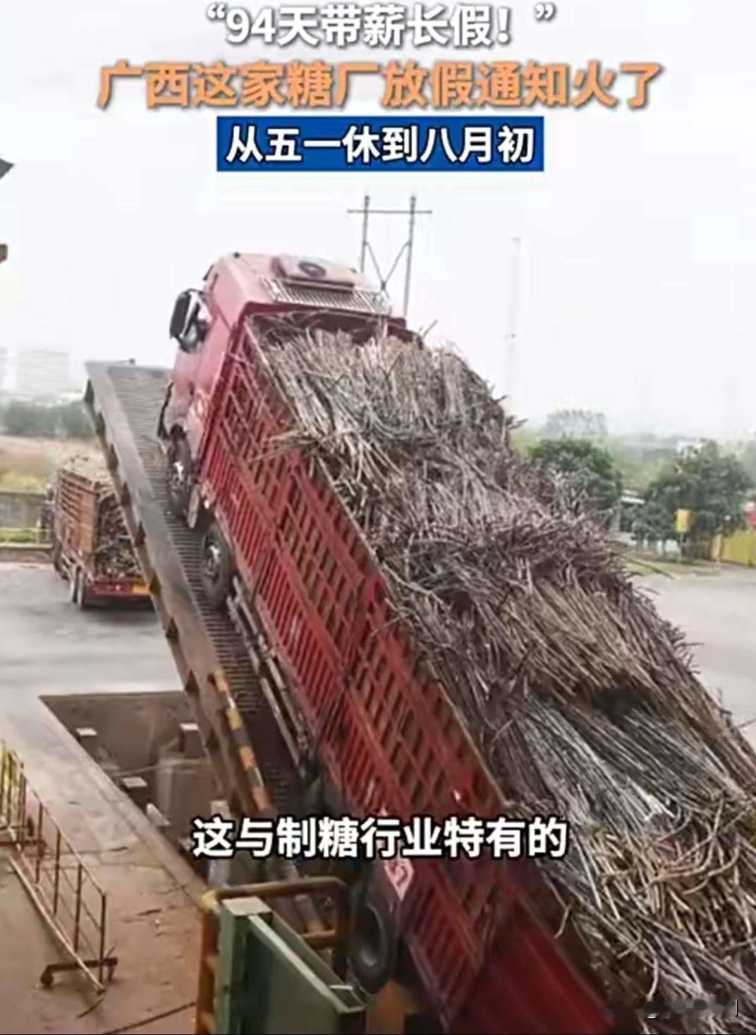 羡慕哭！广西这家公司一口气放假94天。
 
广西一家制糖公司直接官宣长假，
5月