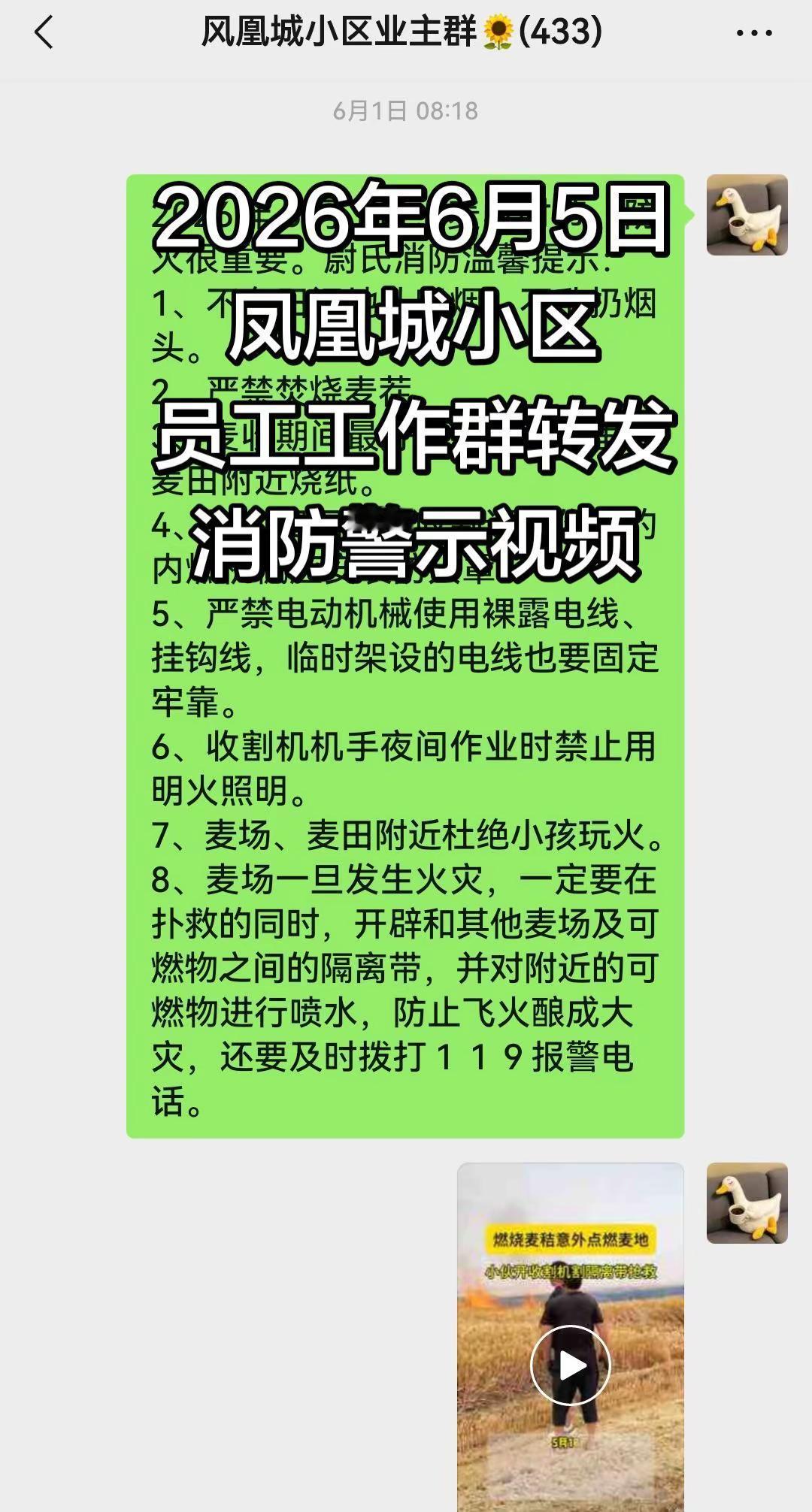 员工工作群转发