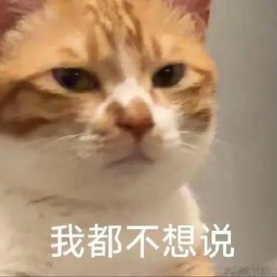 南方医科大学跳楼第一份工作，家里长辈去世，遇到最冷漠的审批回复，你回去能解决什么