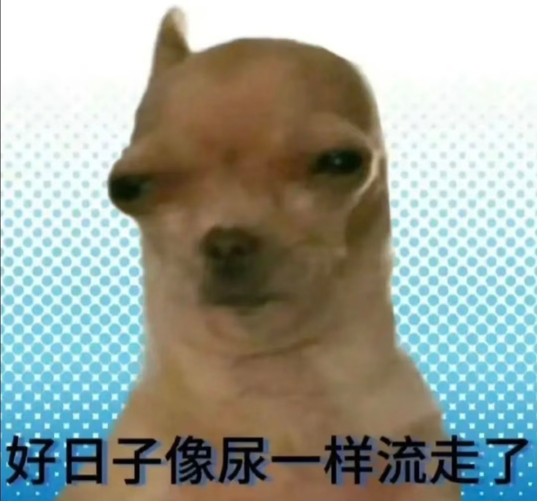 强者从不抱怨环境、但我是弱者！我不但抱怨环境、我还抱怨强者！搞笑幽默