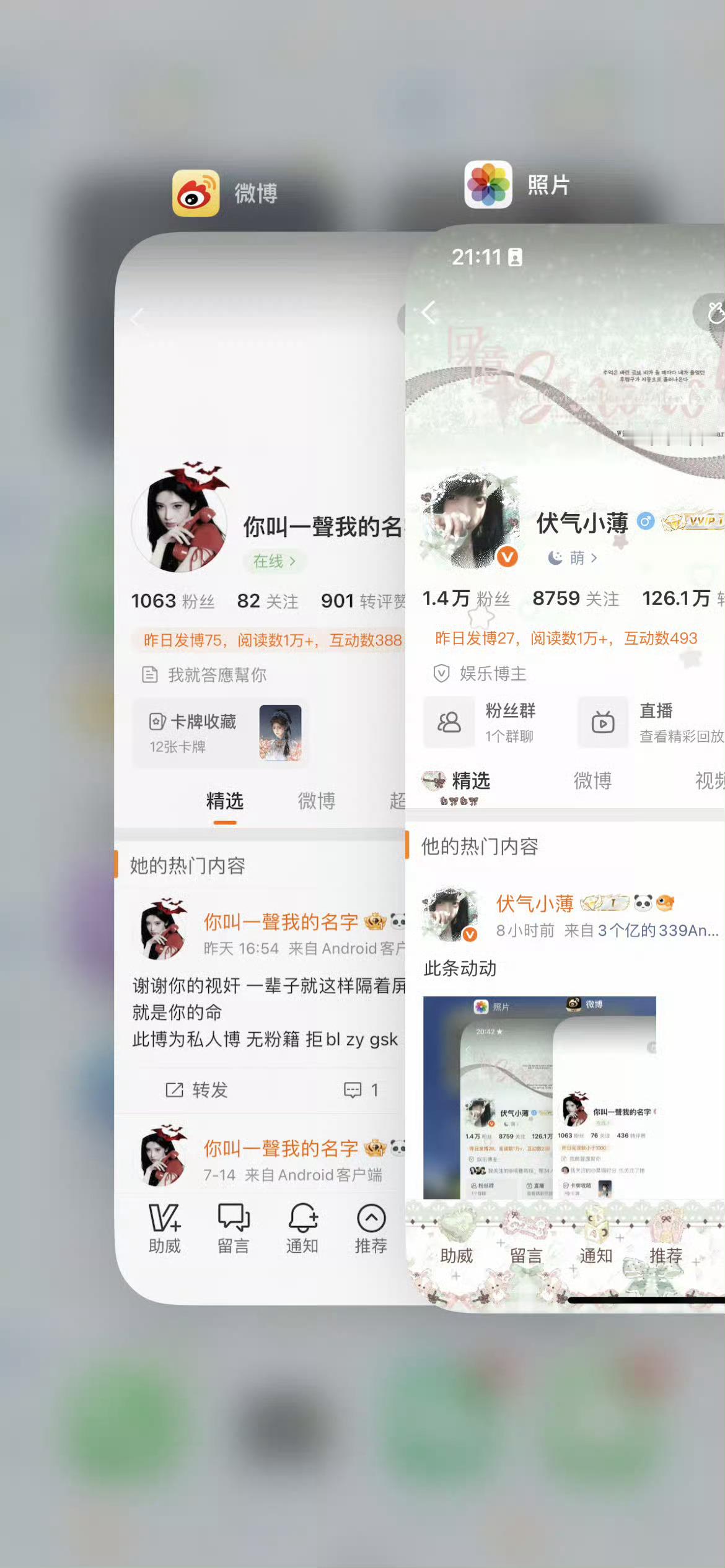 此条动动 
