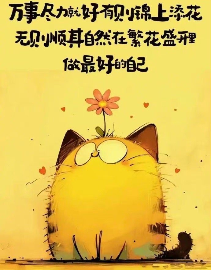 不抱怨生活的苦，也不炫耀拥有的甜，在自己的世界里，安静，自在，不受约束，不用迁就