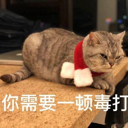 睡梦中，突然感觉被角下钻进了一团蛇形物件。冰凉滑腻的触感贴着皮肉缓缓蠕动，瞬间浑