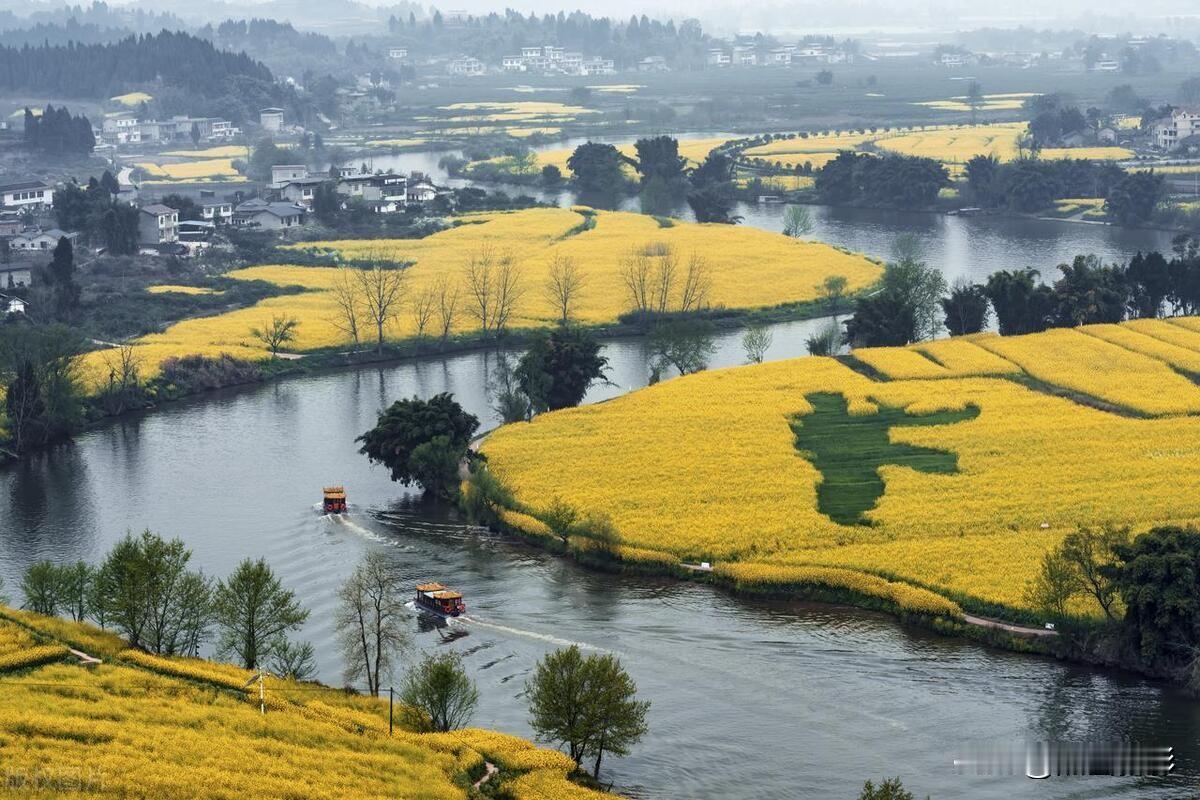 潼南油菜花田即景

潼南春早绽金黄，八卦花田韵未央。
翠浪千层环古邑，金波万顷映