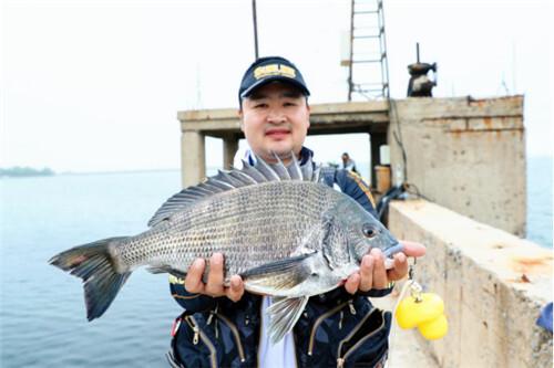 《4.7斤鱼王“跃”出平岛！全国矶钓大赛大连揭幕，63名高手碧海争锋》

这场落