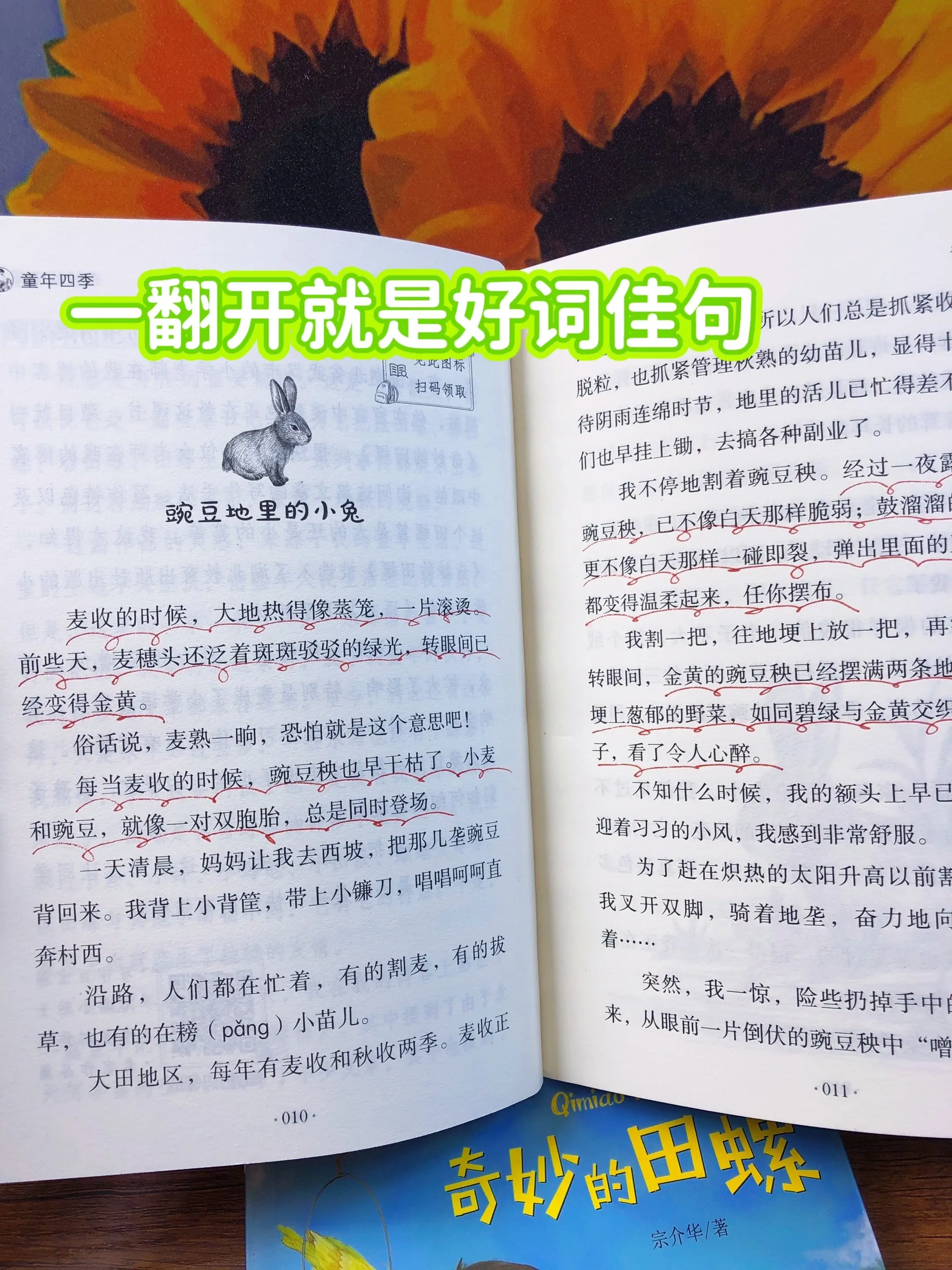 三年级开始，孩子要多读名家散文，深入感受文字的魅力~书中每篇佳作都是写...