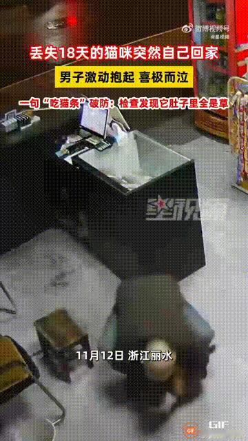 浙江丽水一名男子养了一只小猫，谁料10月26日时不慎走丢，男子和家人在附近找了许