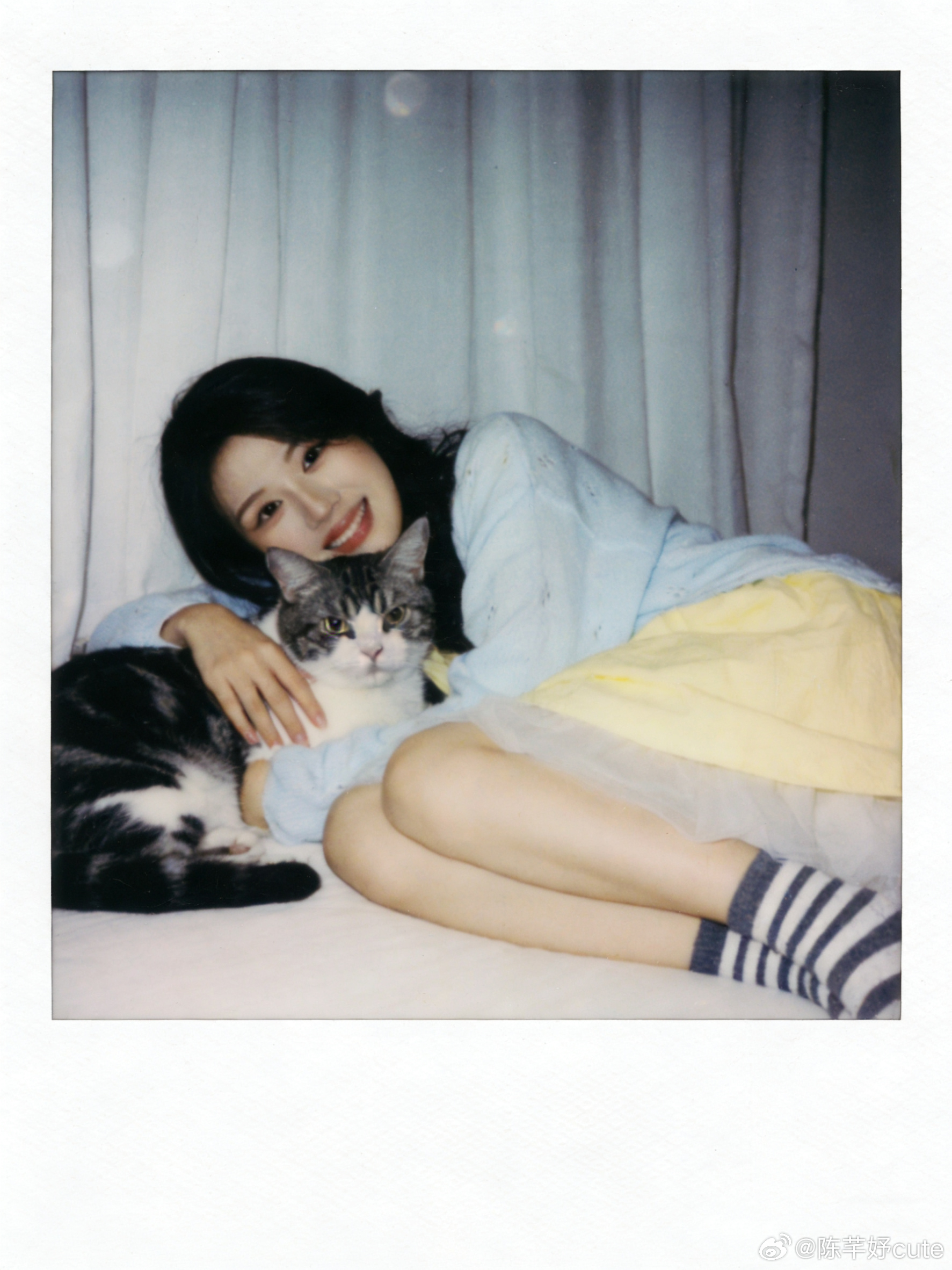 和我的小猫的赛博合照