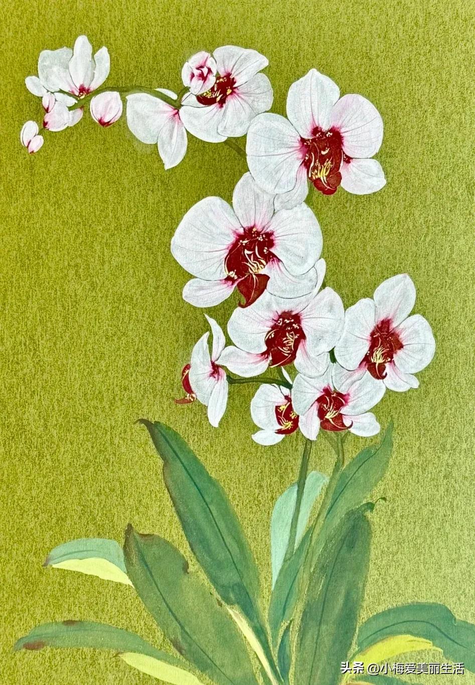 百花图