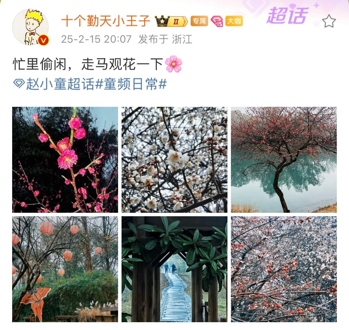 赵小童  冬日里的那抹彩色🌸 