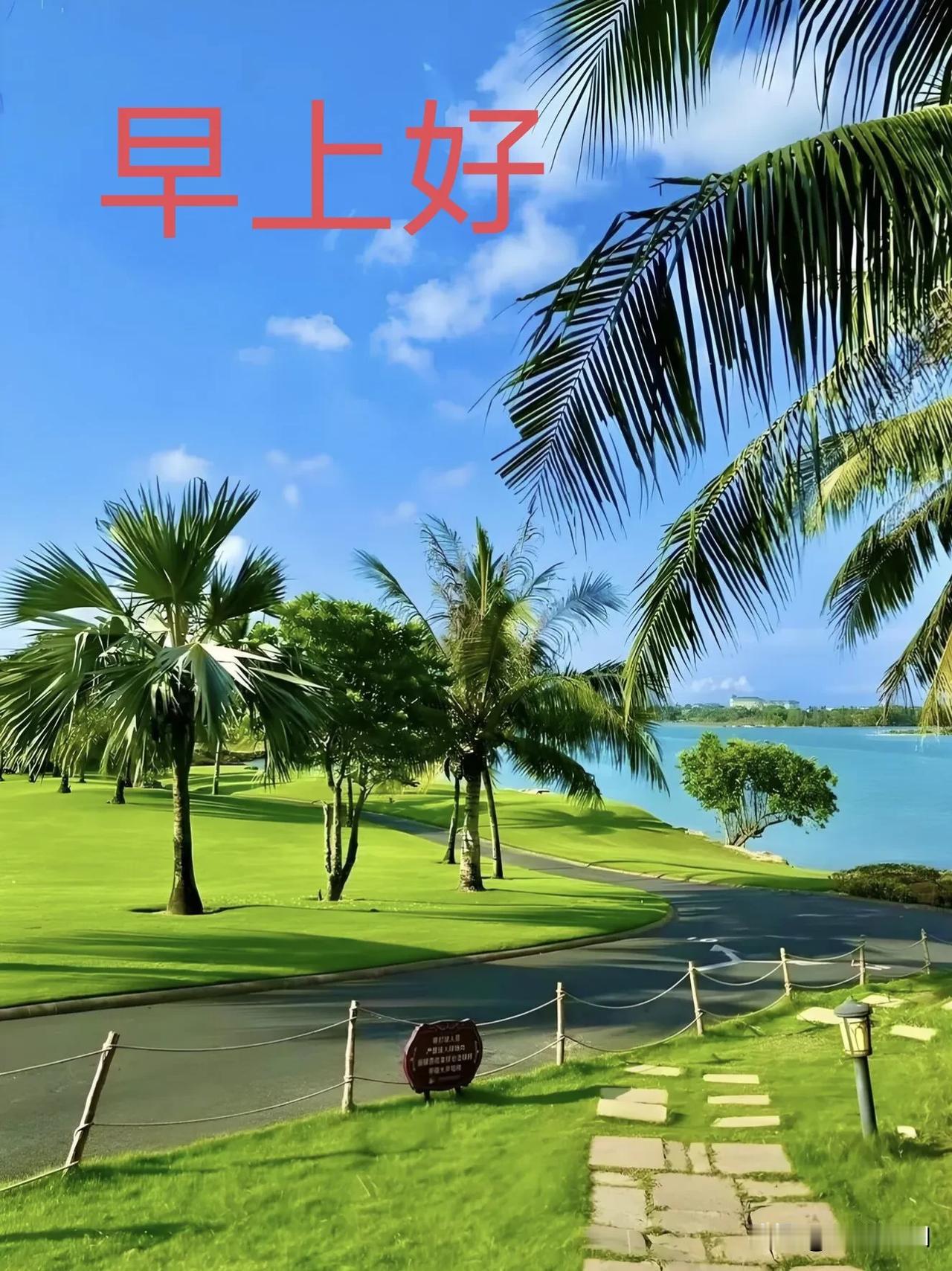  新的清晨，放下焦虑与内耗，脚踏实地，美好都会慢慢靠近你。