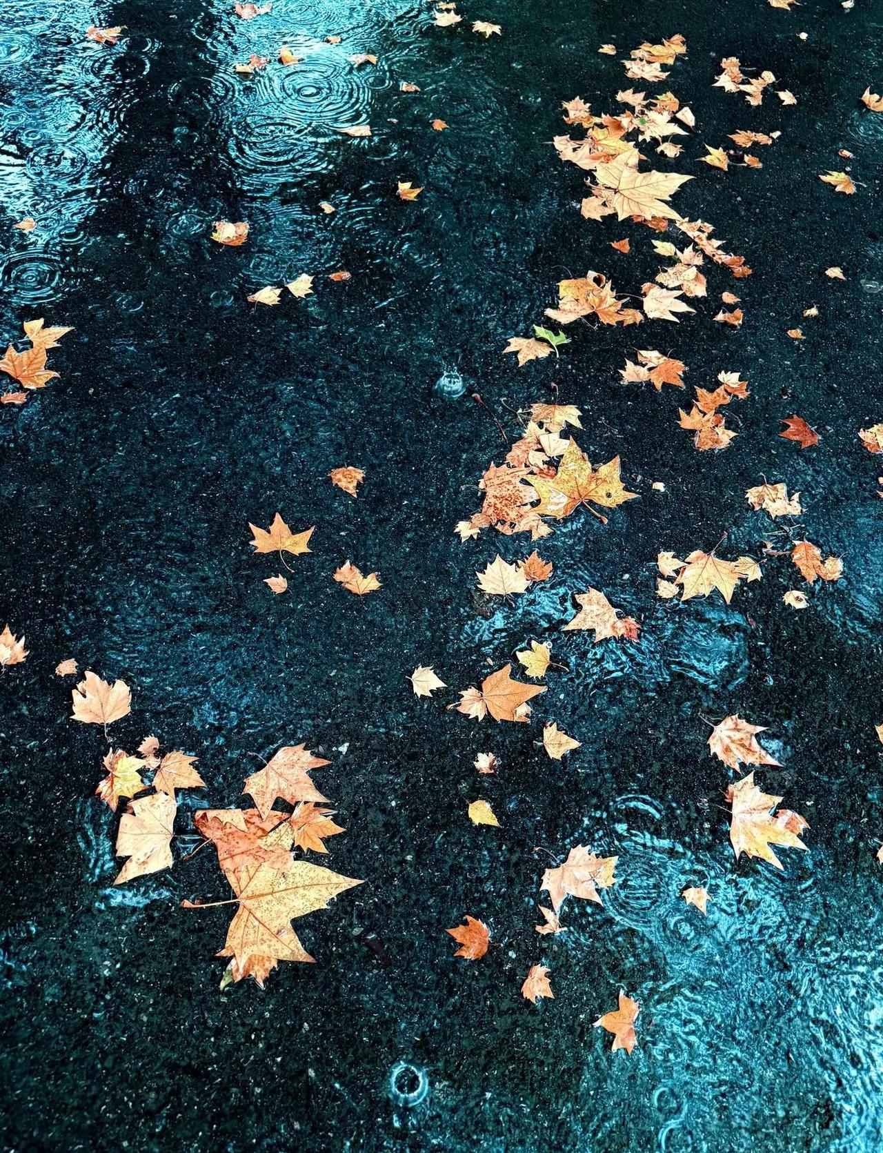 北马领物遇到雨雾气、涟漪、缓缓前行，是一个浸满诗意的雨天🌧️跑步治愈 雨天的快