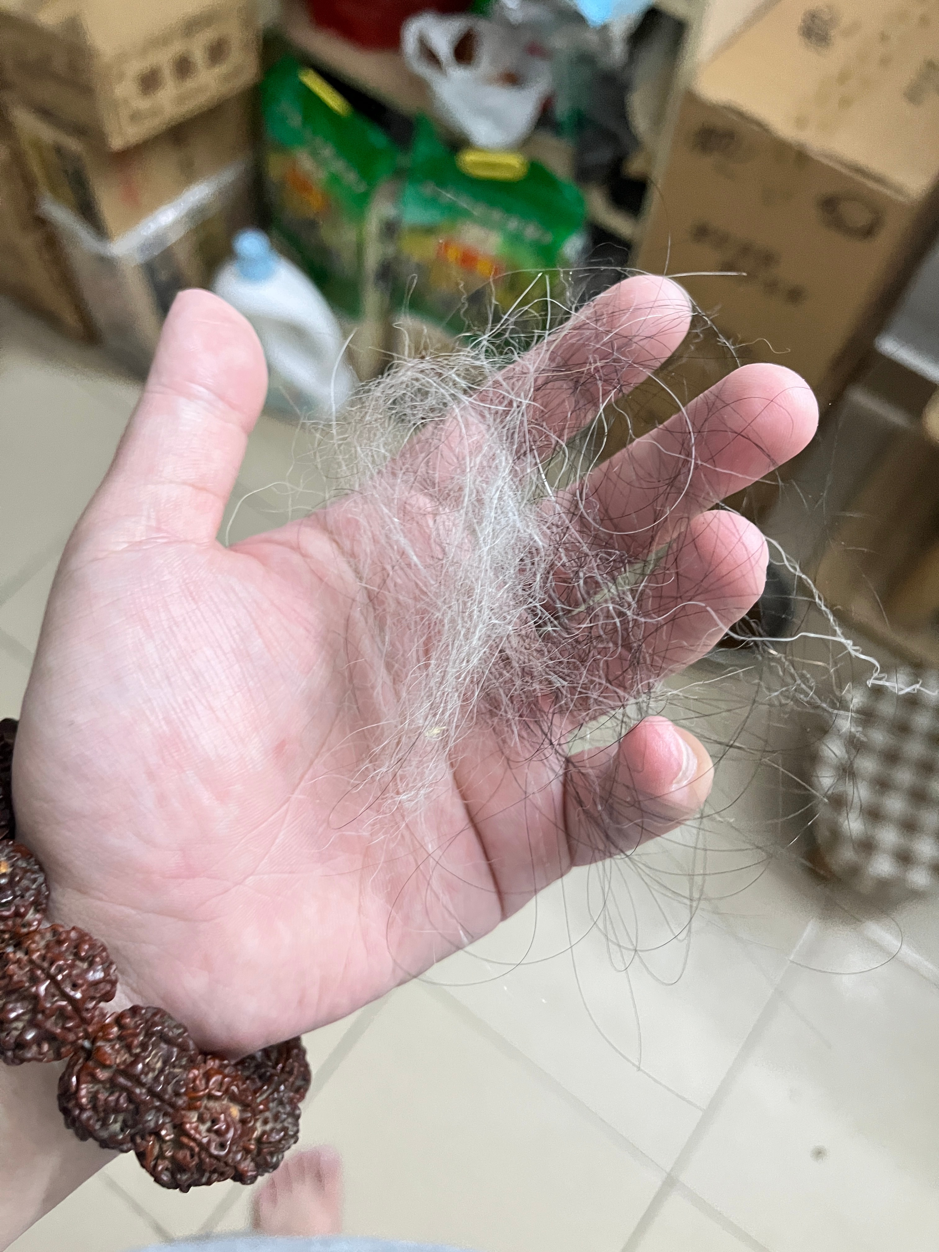 妈的我病了几天没出门…没洗头头发打结了，刚刚一梳头，不知道还以为是哪个老头脱发了