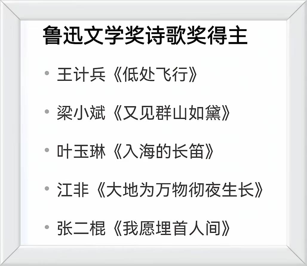 无论是获奖者还是评委里面，都没有著名诗人贾浅浅，这不公平！评委们，你们好好读读。