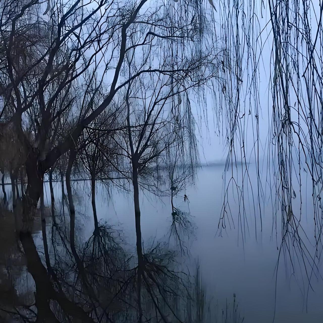 冬柳
每向云波摇曳身，
曾时明月往来辰。
纵教去水无归意，
依旧垂丝立洛滨。