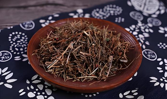 溪边田基黄，利湿退黄“肝炎草”！清热散瘀、消肿解毒，善用肝安黄自退！

“马主任