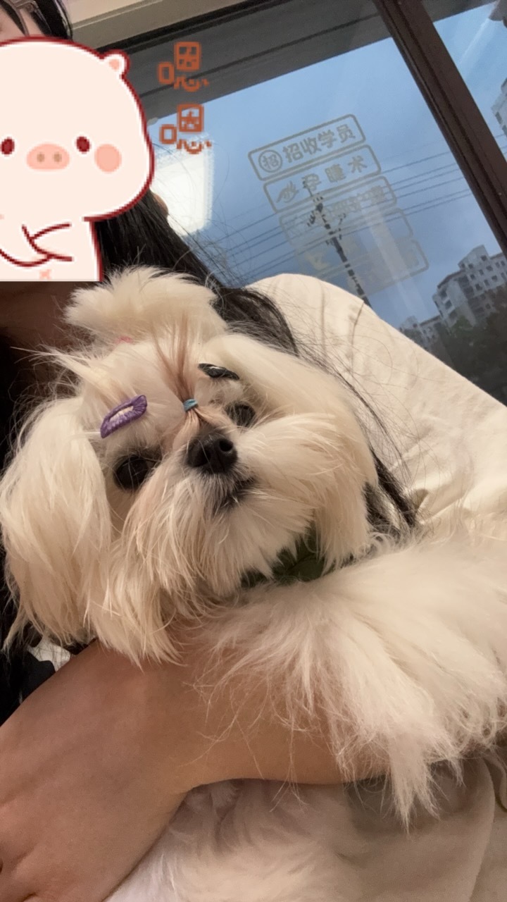 小木子长眉毛了 ​​​