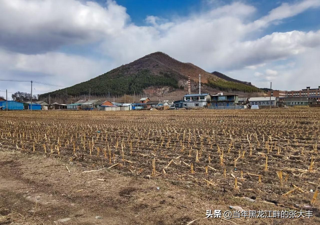 感悟人生！

人，每一个人，来到人世间都是一件很偶然很偶然的事情 ……

人，每