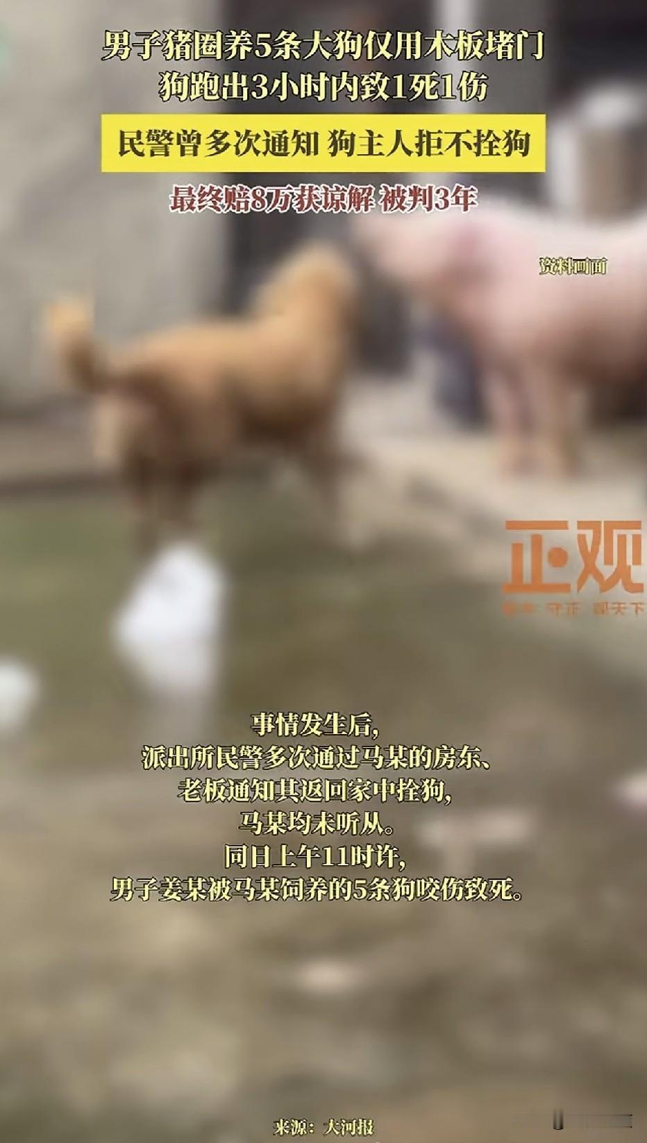 男子废弃猪圈里养5条大型犬，我犬只逃离咬伤路人，警方紧急通知仍不重视，最终导致一