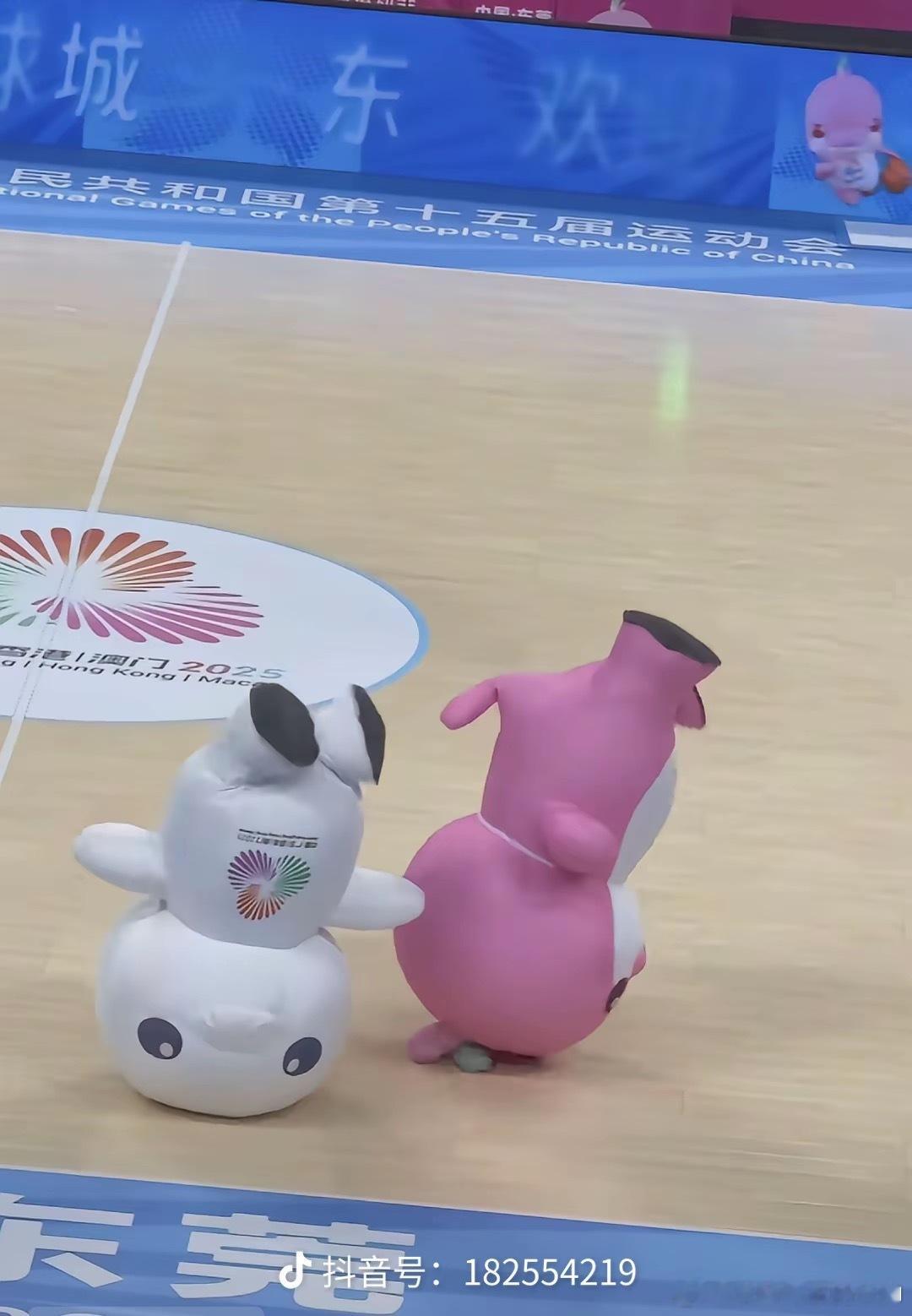 今年全运会一场比赛没看，全看吉祥物“大湾鸡”整活了！太有趣了，据说大湾鸡都是武校