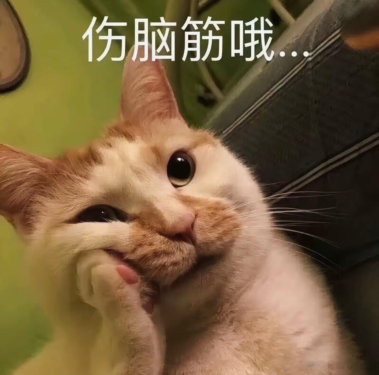 现在密码都是世袭制，总之全家都用一个密码，主要是用起来方便也不容易忘记。脑子太不