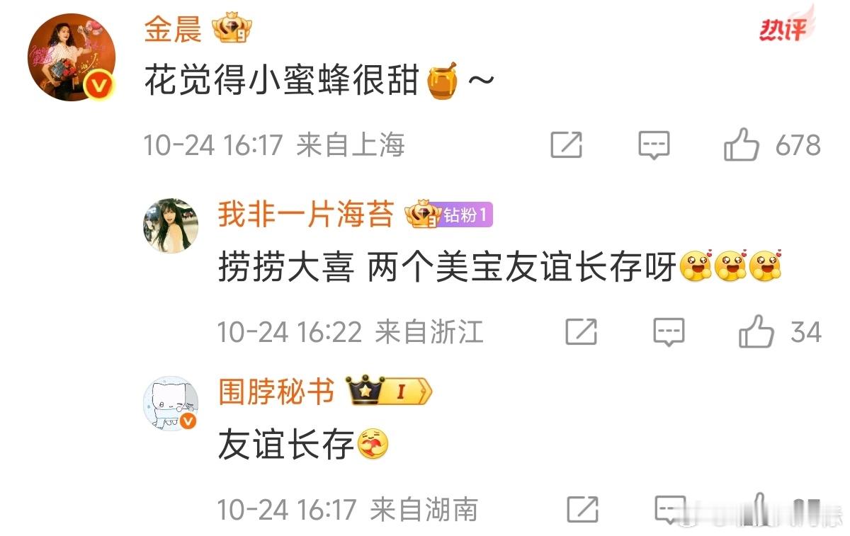 金晨说宋茜很甜 金晨说宋茜很甜 ​​​