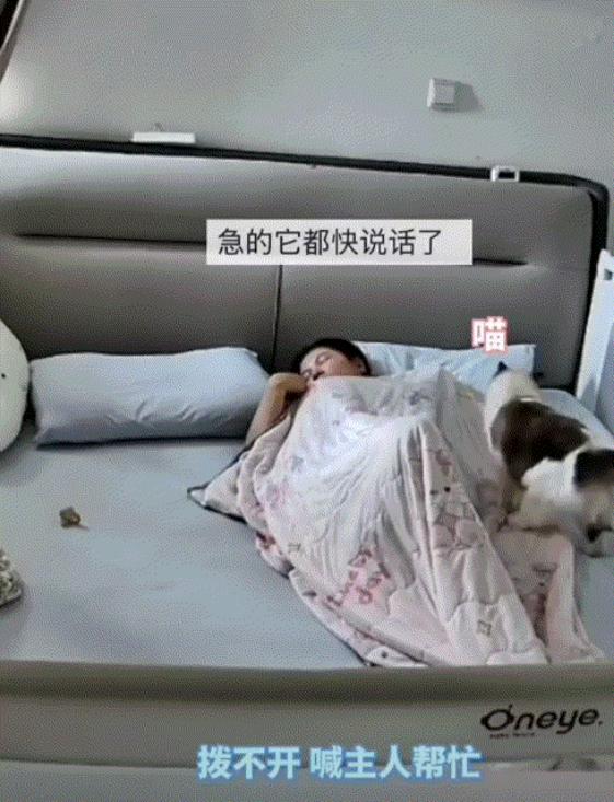 太有灵性了！几个月大的宝宝和妈妈同睡时翻身，不慎被被子蒙住头部，熟睡的妈妈毫无察