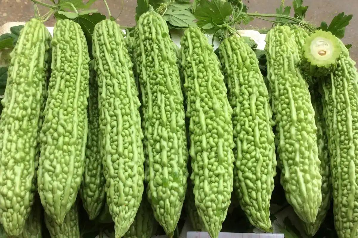 为什么说苦瓜是最尴尬的蔬菜。
 
论营养，它的维生素C含量是柠檬的1.6倍，苹果