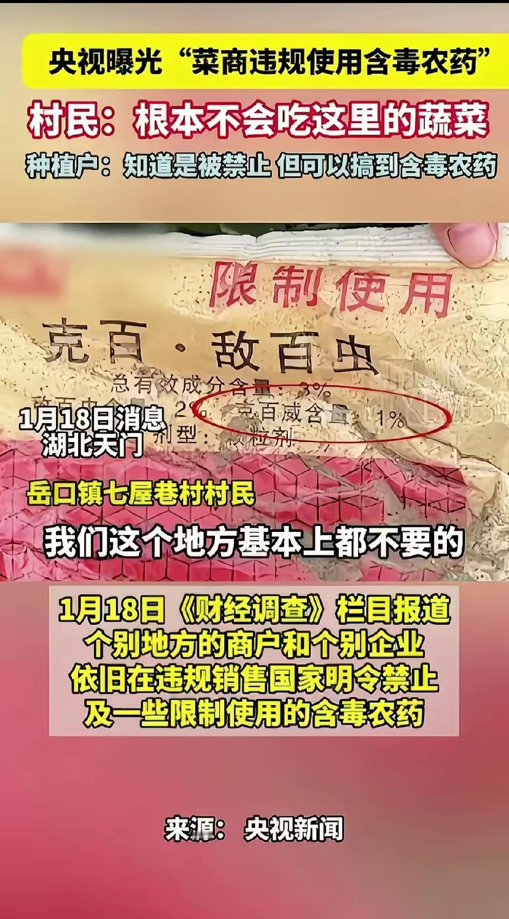 央视曝光的天门“毒蔬菜”事件，真是越想越寒心！

地里飘着刺鼻农药味，菜农拿着国