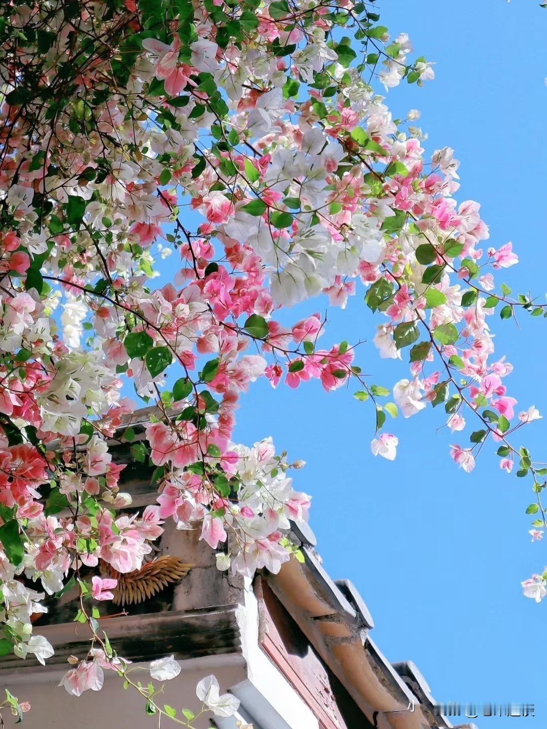 为什么很多人觉得，有钱的亲戚屁用也没有呢？

因为这些有钱的亲戚，真的挺害怕你，